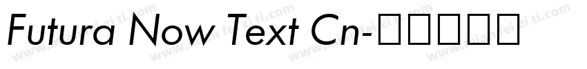 Futura Now Text Cn字体转换